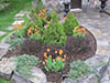 Photo Gallery - Planters, Gardens & Walls - Image 8